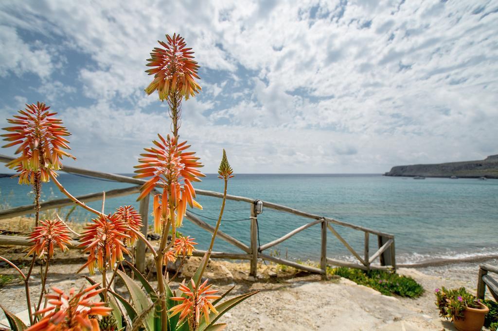 Coral Front Beach Káto Zákros Chambre photo