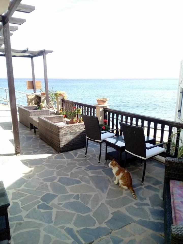 Coral Front Beach Káto Zákros Extérieur photo